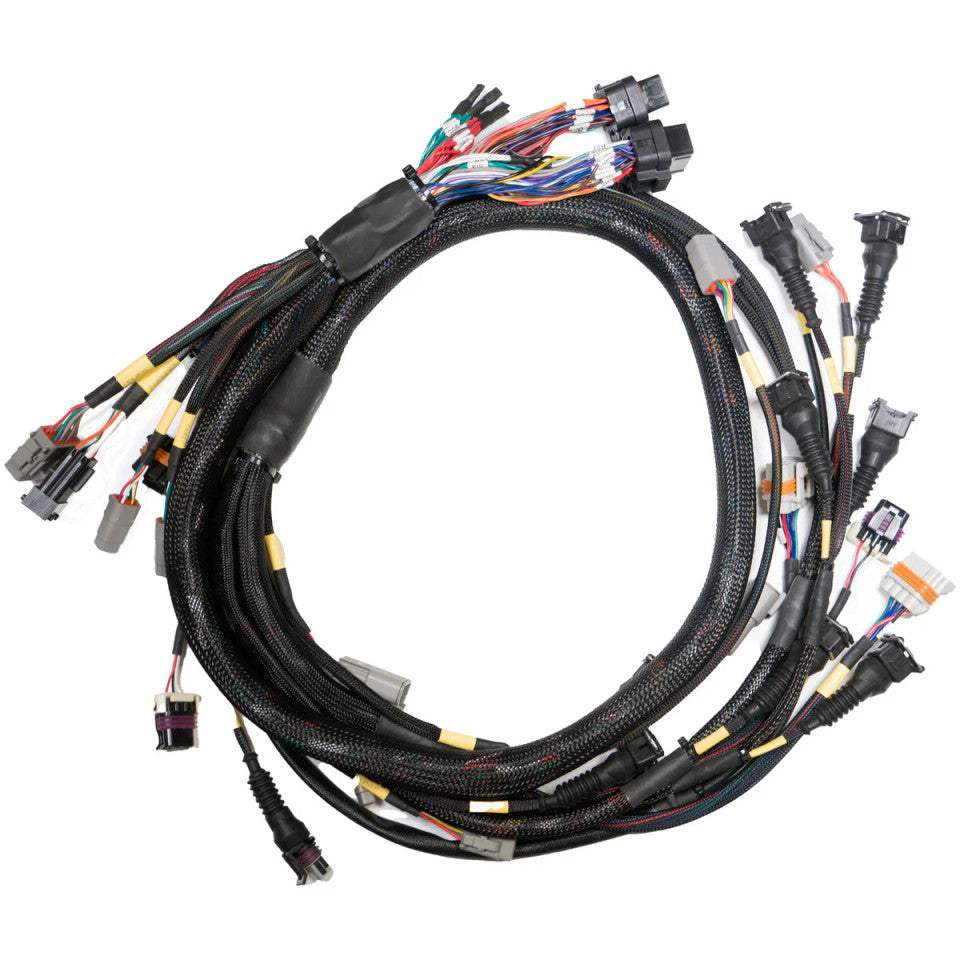 Link ECU G4X StormX ECU + Terminated LS Engine Harness Drive-by-Cable Bundle - Chance Motorsports Link ECU Engine Management